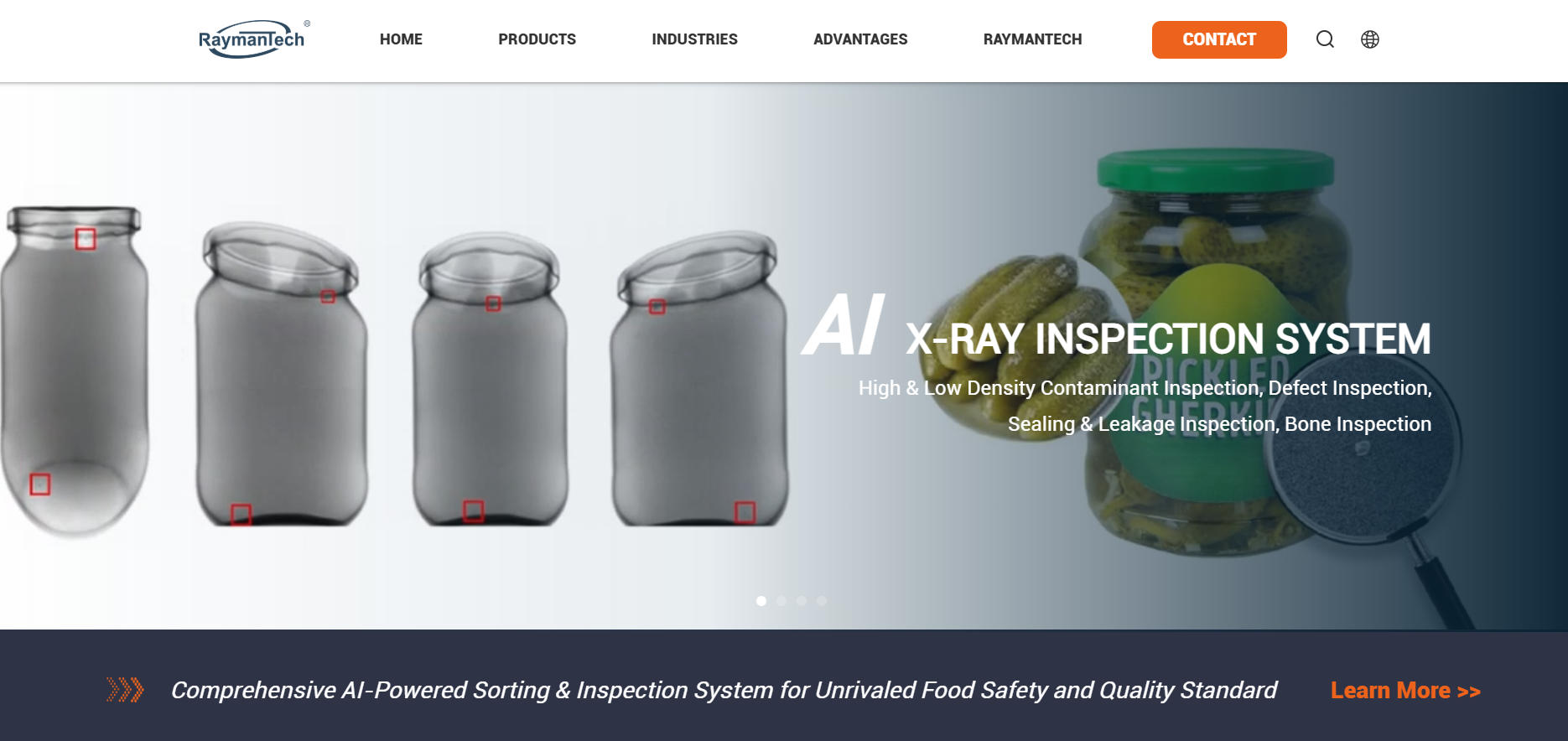 raymantech x ray inspection.jpg